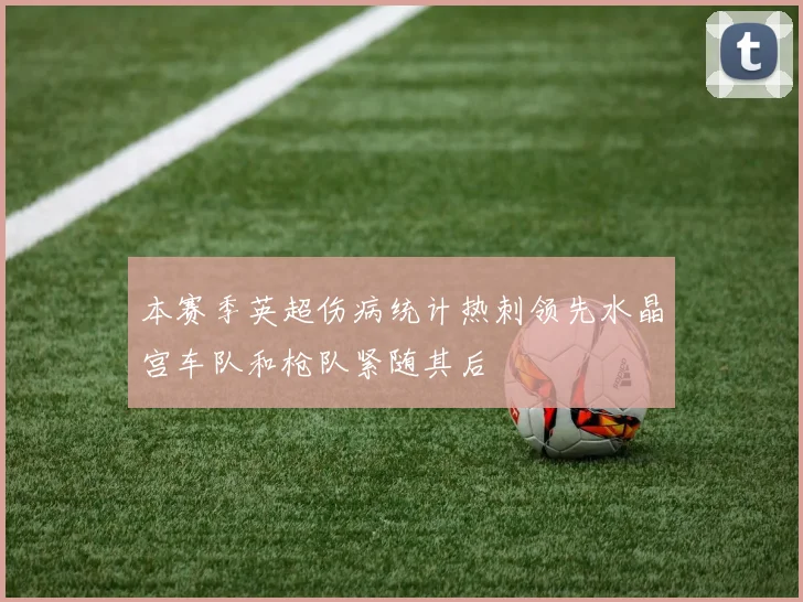 本赛季英超伤病统计热刺领先水晶宫车队和枪队紧随其后